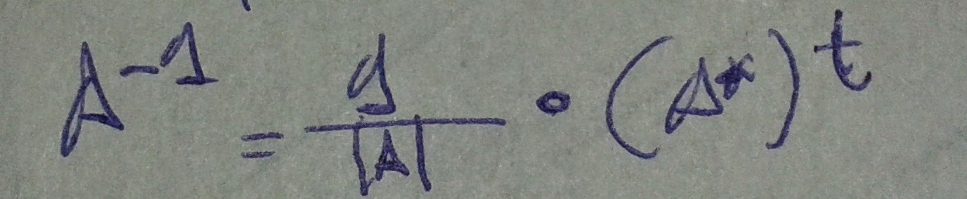 Matriz inversa (paso 1)